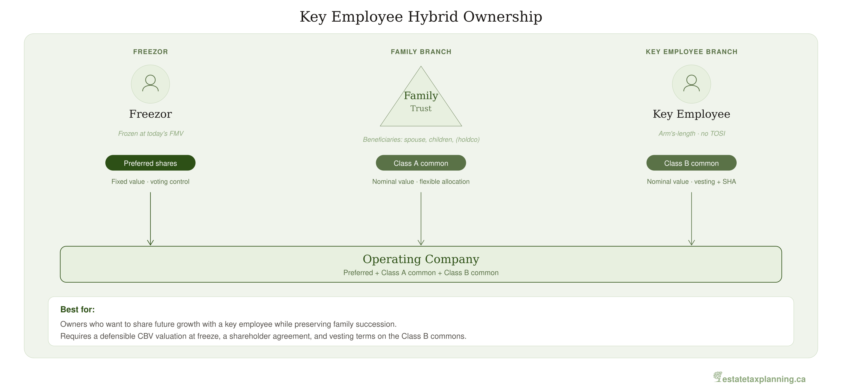 Key Employee Hybrid Ownership